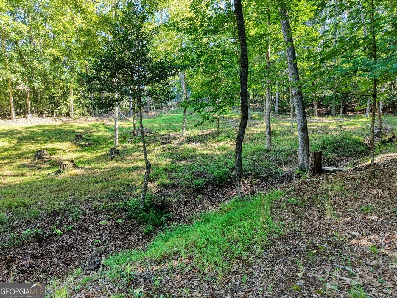 2110 Brasstown Lane Young Harris - 3