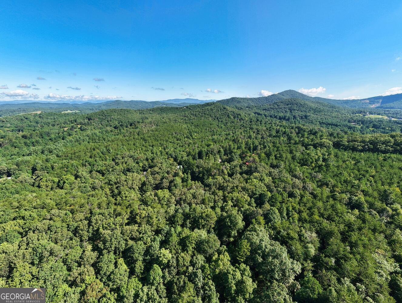 2110 Brasstown Lane Young Harris - 32