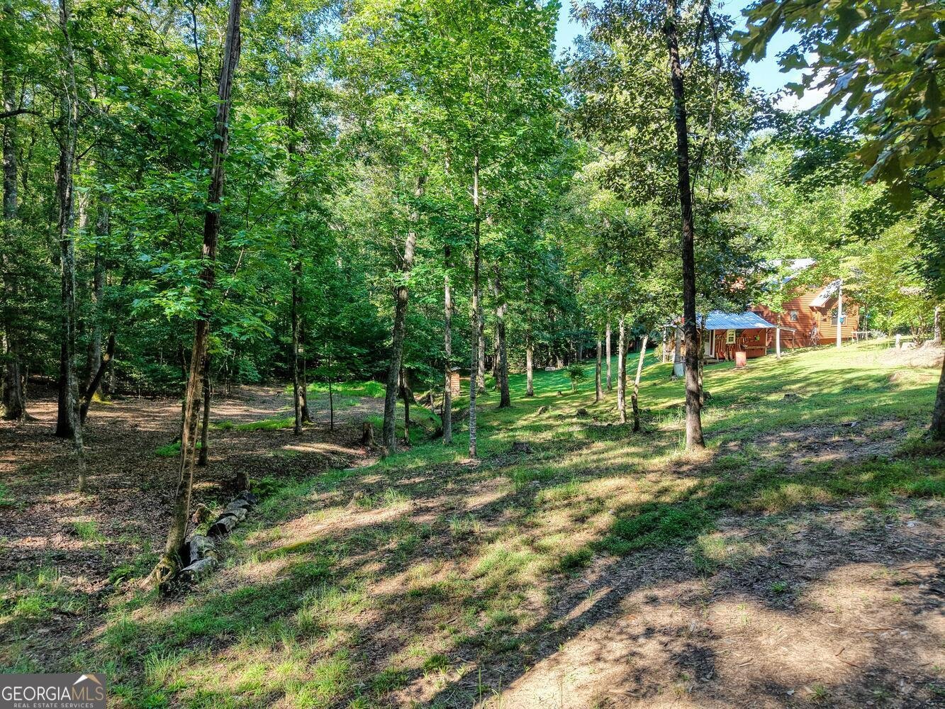 2110 Brasstown Lane Young Harris - 37