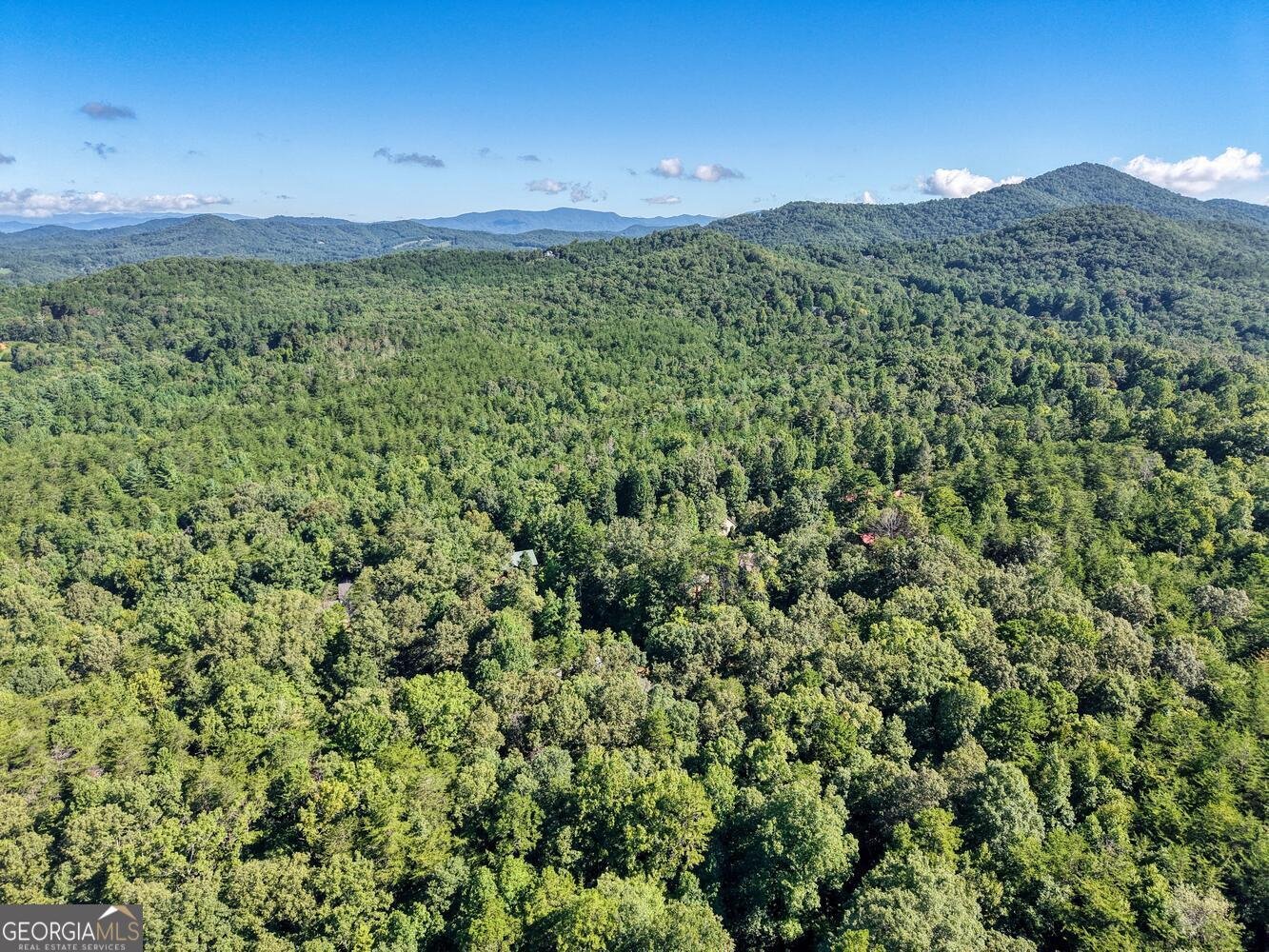 2110 Brasstown Lane Young Harris - 38
