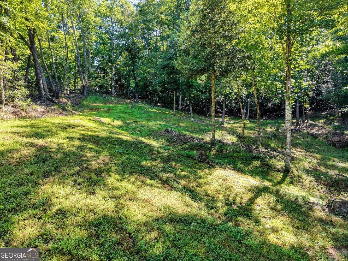 2110 Brasstown Lane Young Harris - 4