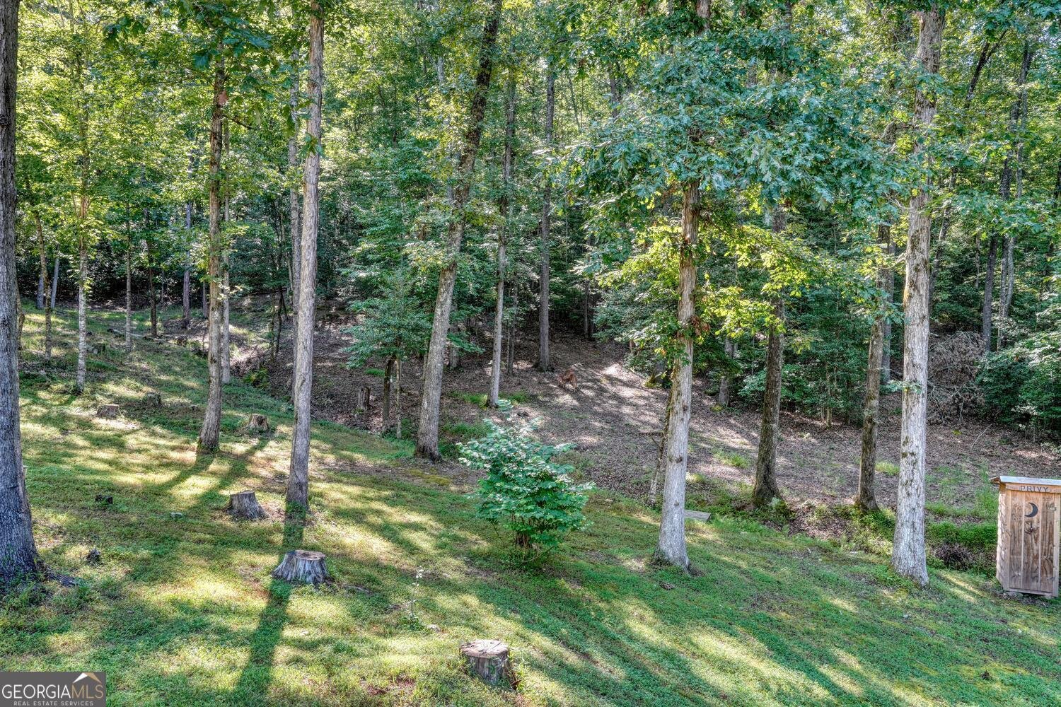 2110 Brasstown Lane Young Harris - 46