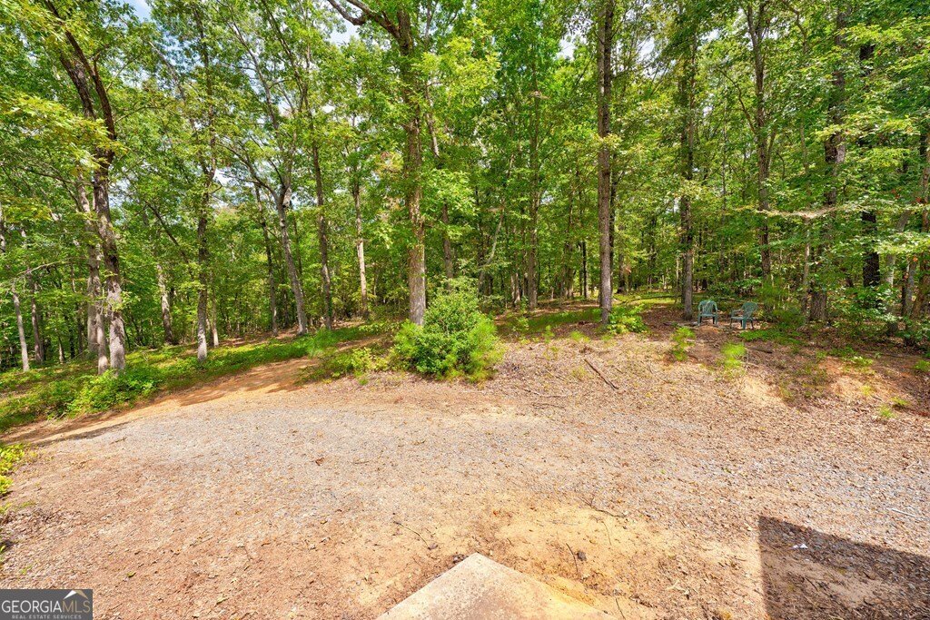 150 Hickory Hills Lane Ellijay - 23