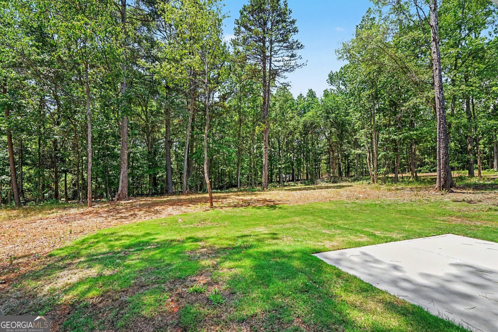 584 Walnut Creek Parkway Pendergrass - Photo 30