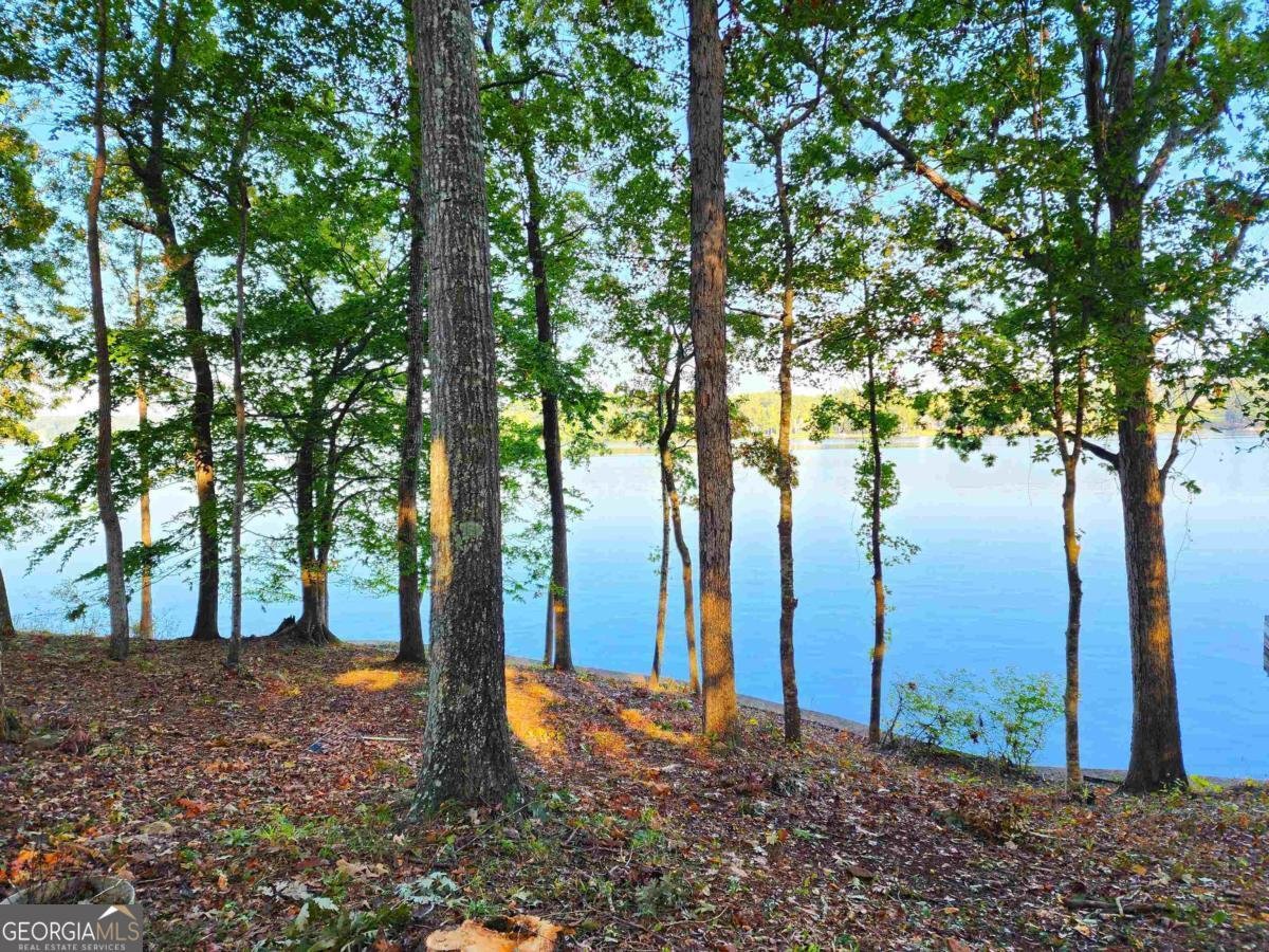 117 Horseshoe Circle Eatonton - 51