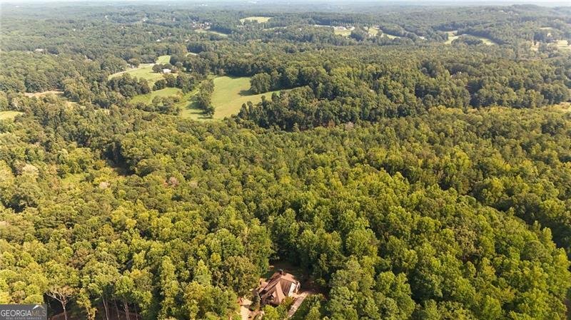 1002 Iron Mountain Road Canton - 13