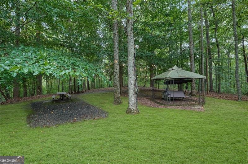 1002 Iron Mountain Road Canton - 8