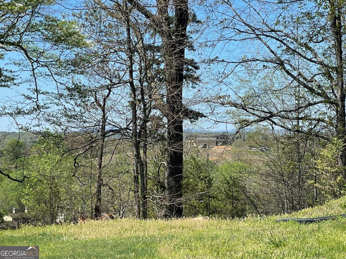 701 Hightower Church Road Dahlonega - 1