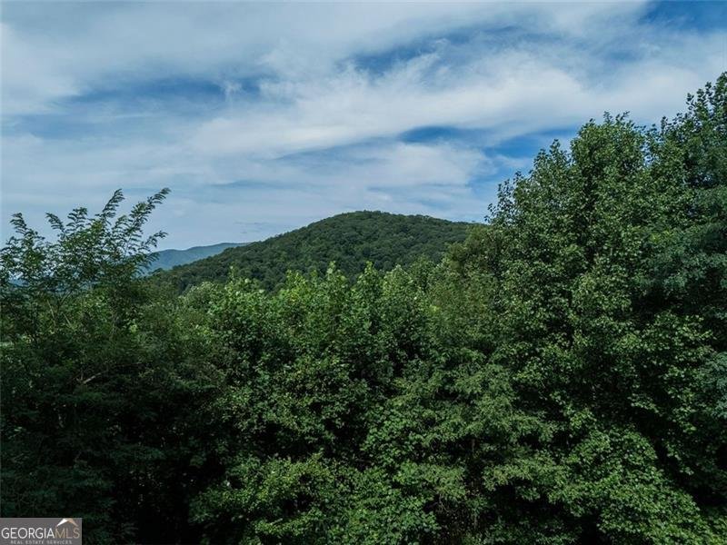 71 Hidden Valley Drive Ellijay - 12