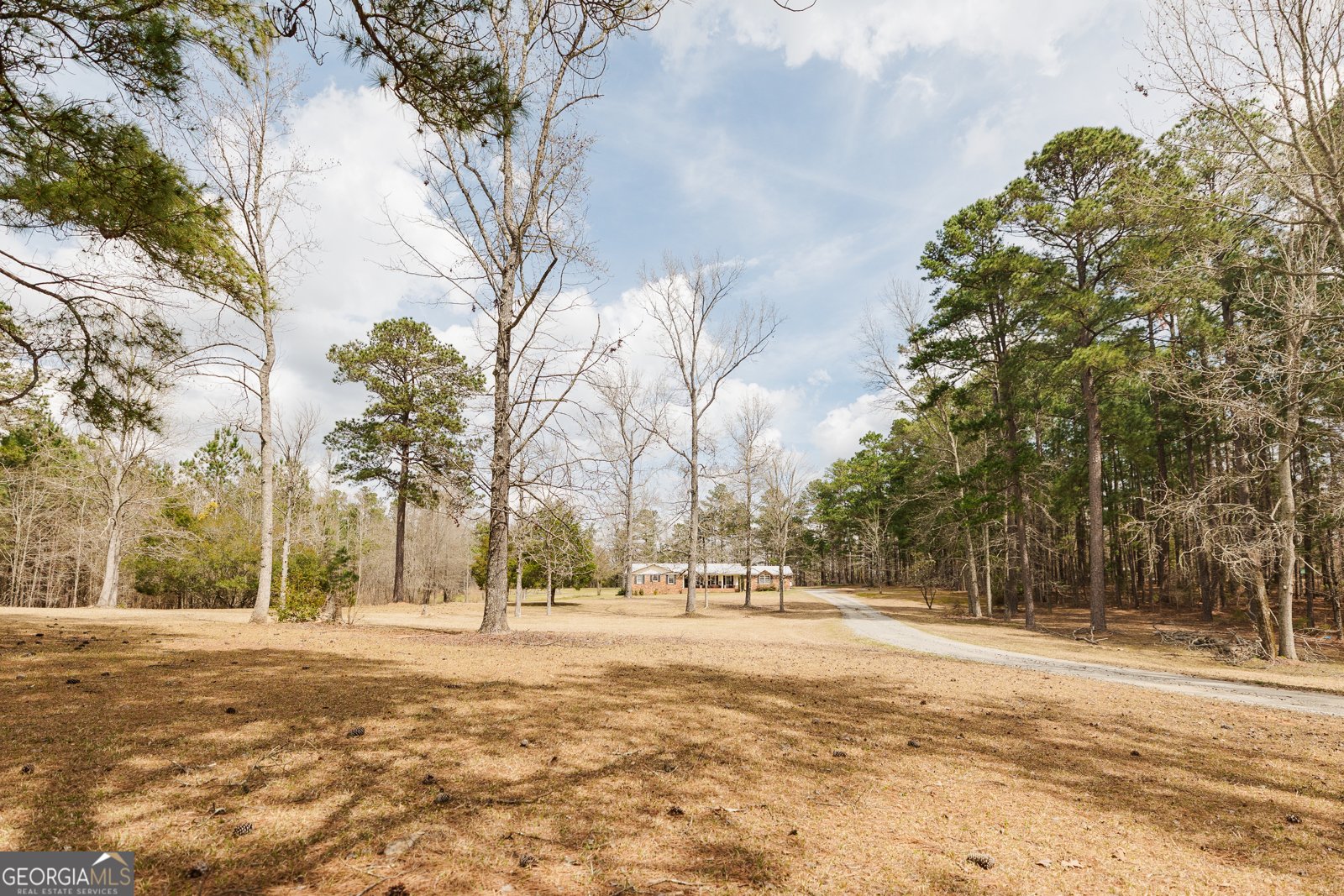 251 Pettigrew Road Milledgeville - 55