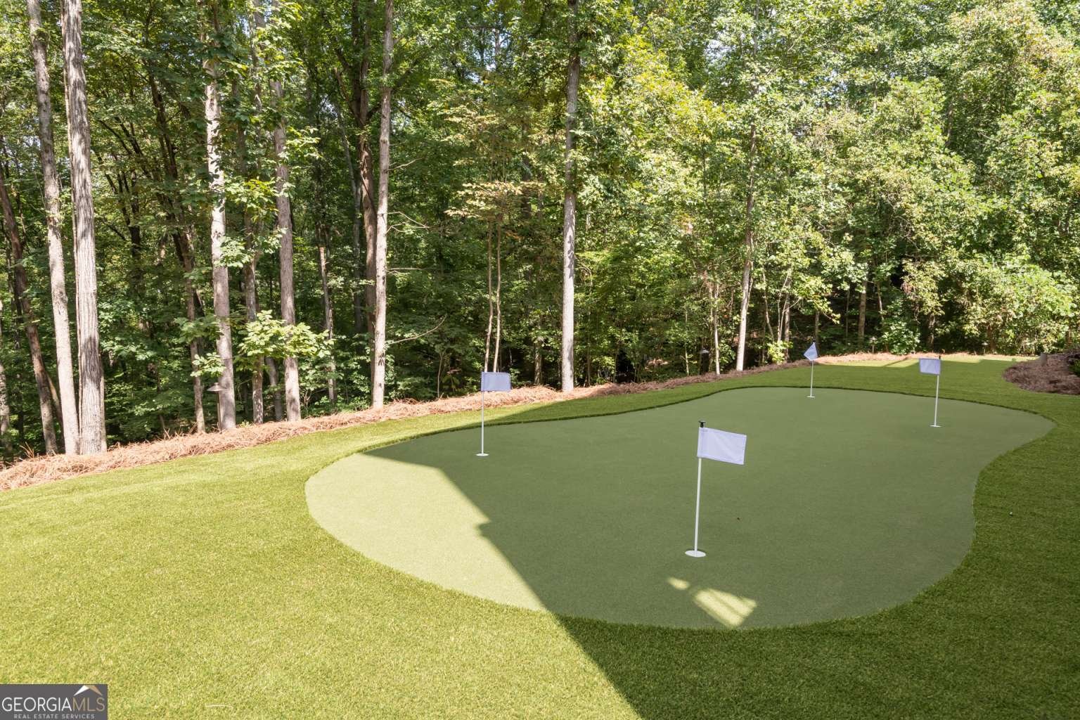 402 Timberview Court Alpharetta - 4