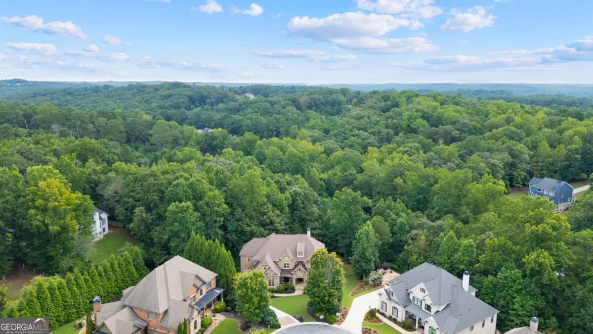 1750 Cone Flower Way Suwanee - 55
