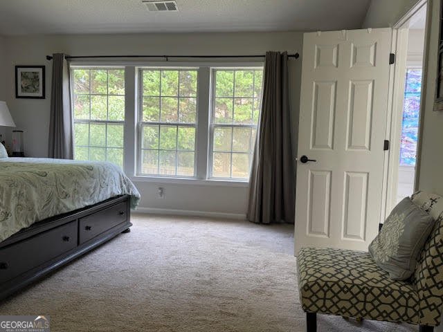 386 Bass Way Kennesaw - 22