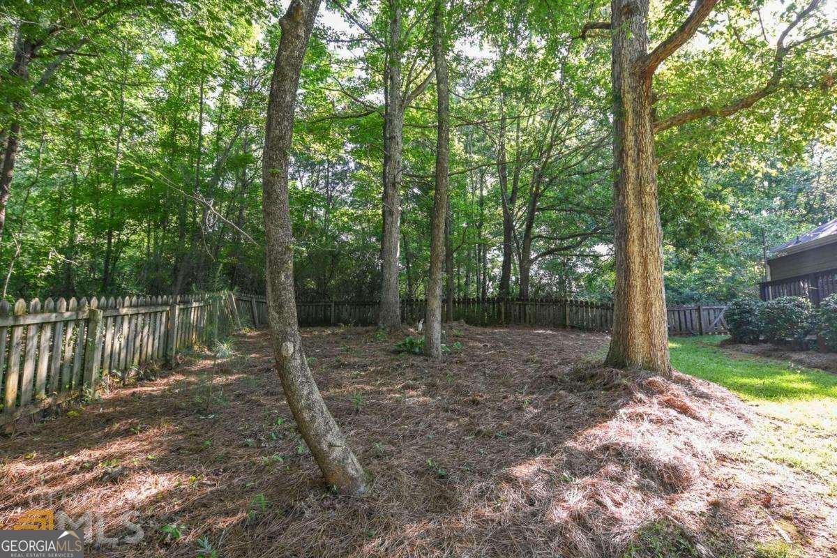1031 Sagefield Drive Watkinsville - 32