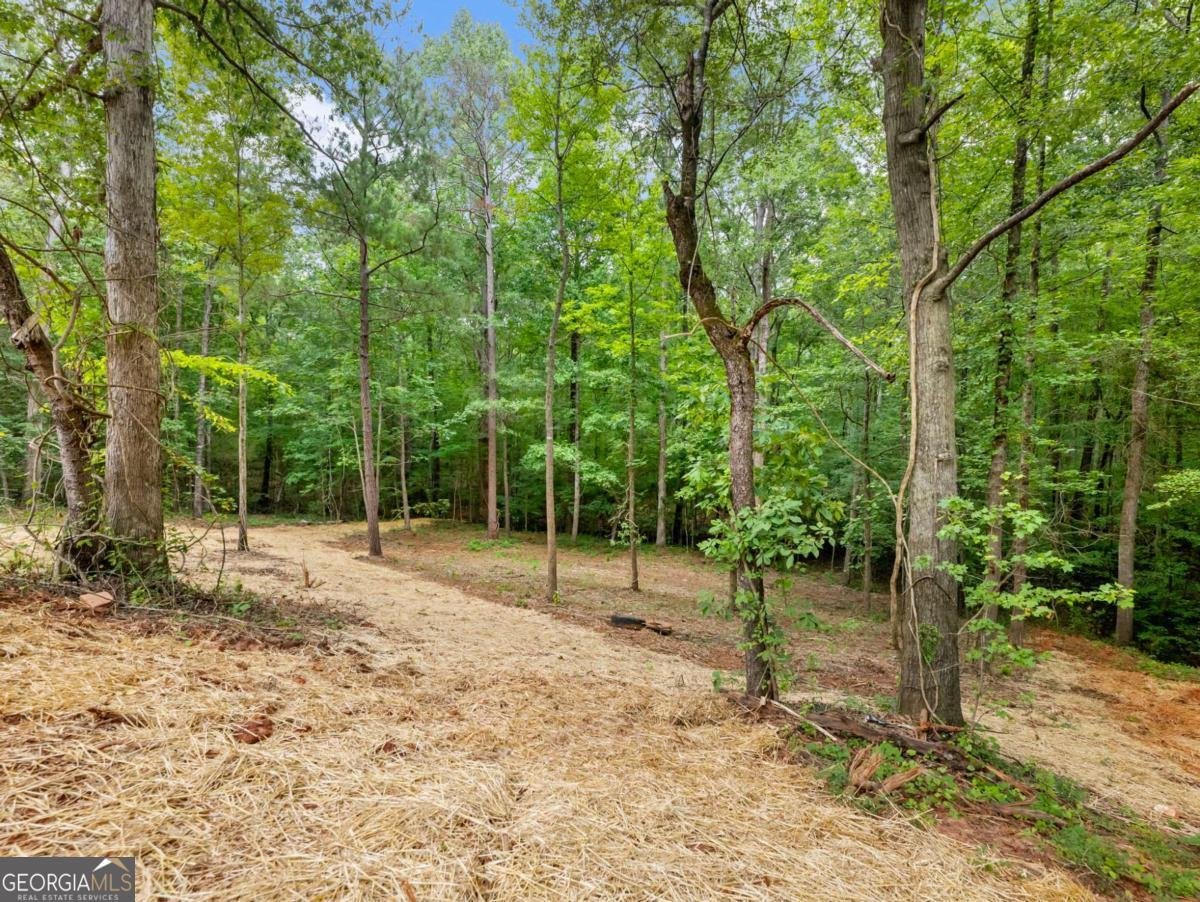 251 Cedar Ridge Drive Commerce - 33