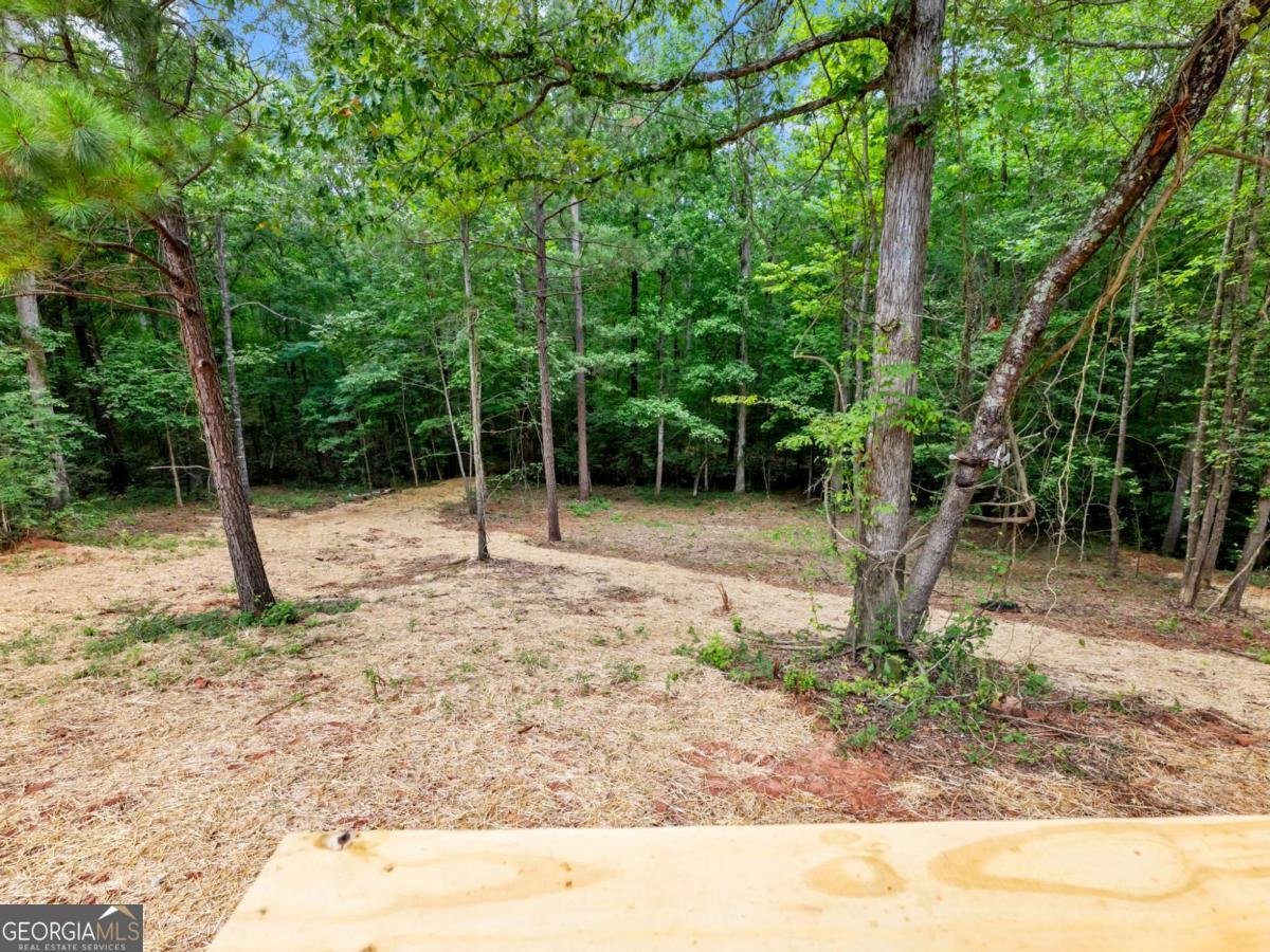 251 Cedar Ridge Drive Commerce - 36
