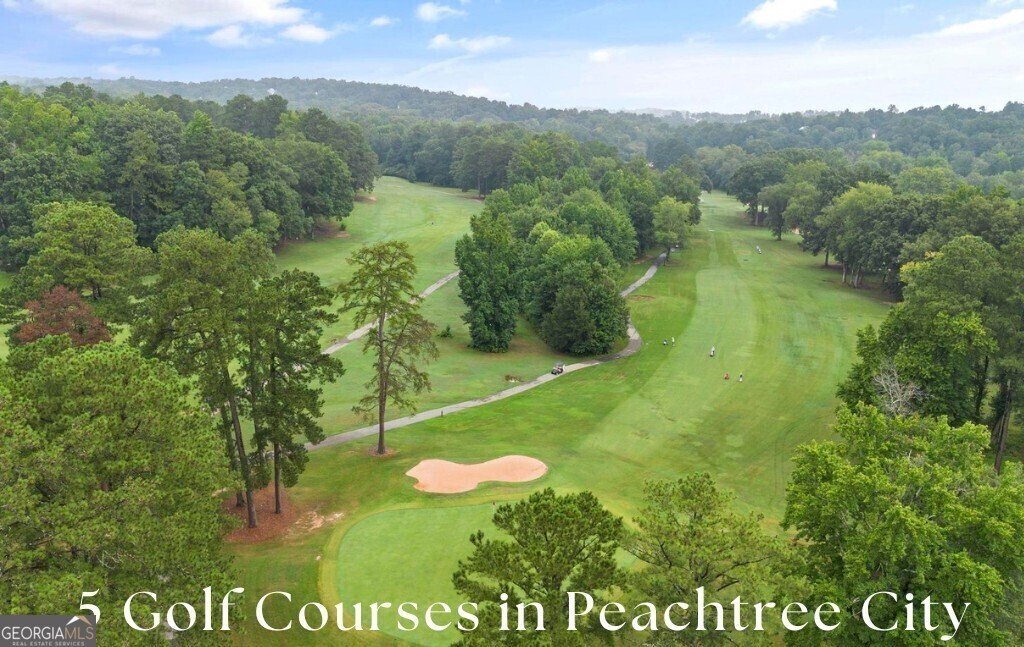 1103 Ridgelake Drive Peachtree City - 45