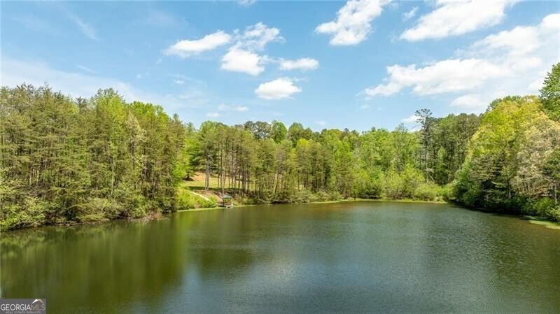 847 Quail Trail Clarkesville - 10