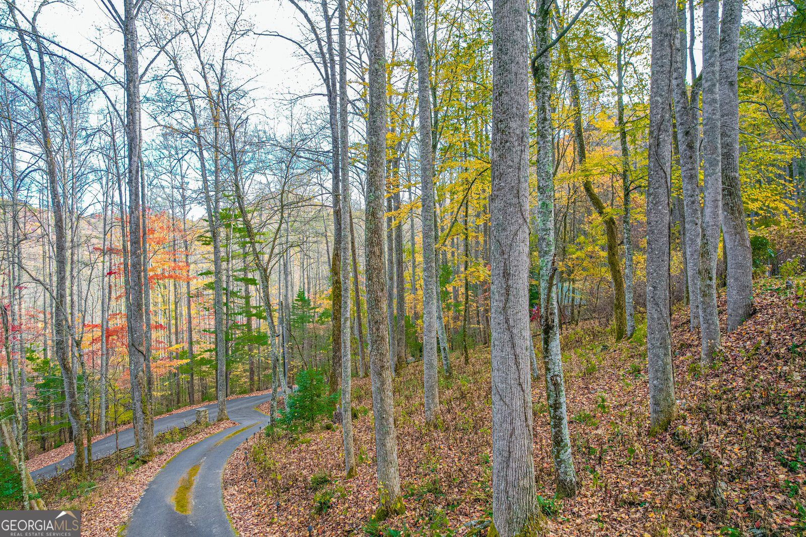 100 Windsong Lane Rabun Gap - 3