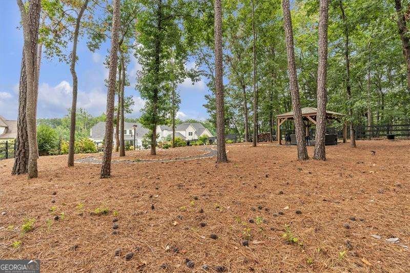 33 Nuttail Lane Powder Springs - 80