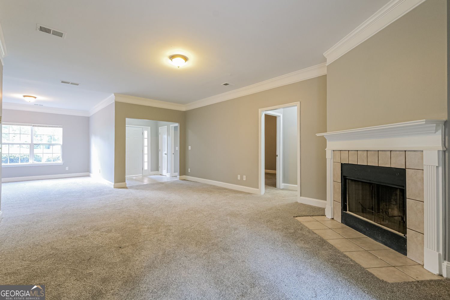 4617 River Road Ellenwood - 7