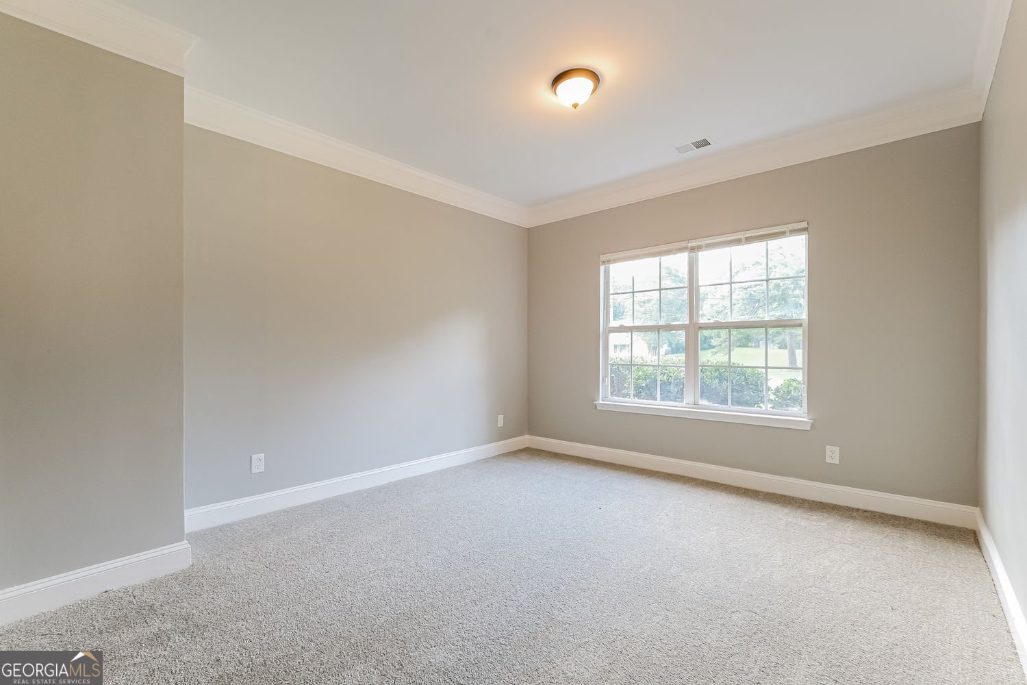 4617 River Road Ellenwood - 9
