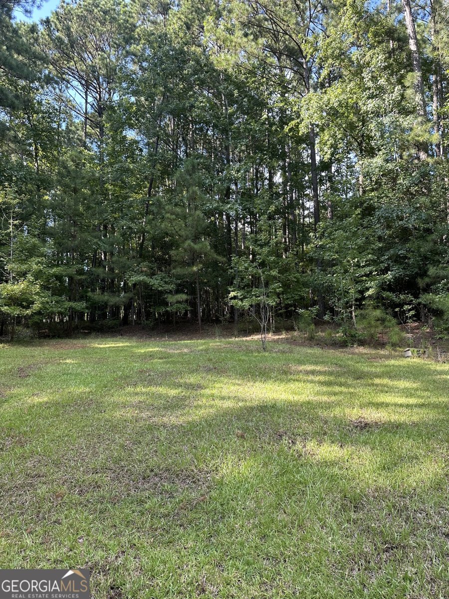 865 Steel Bridge Road Eatonton - 1