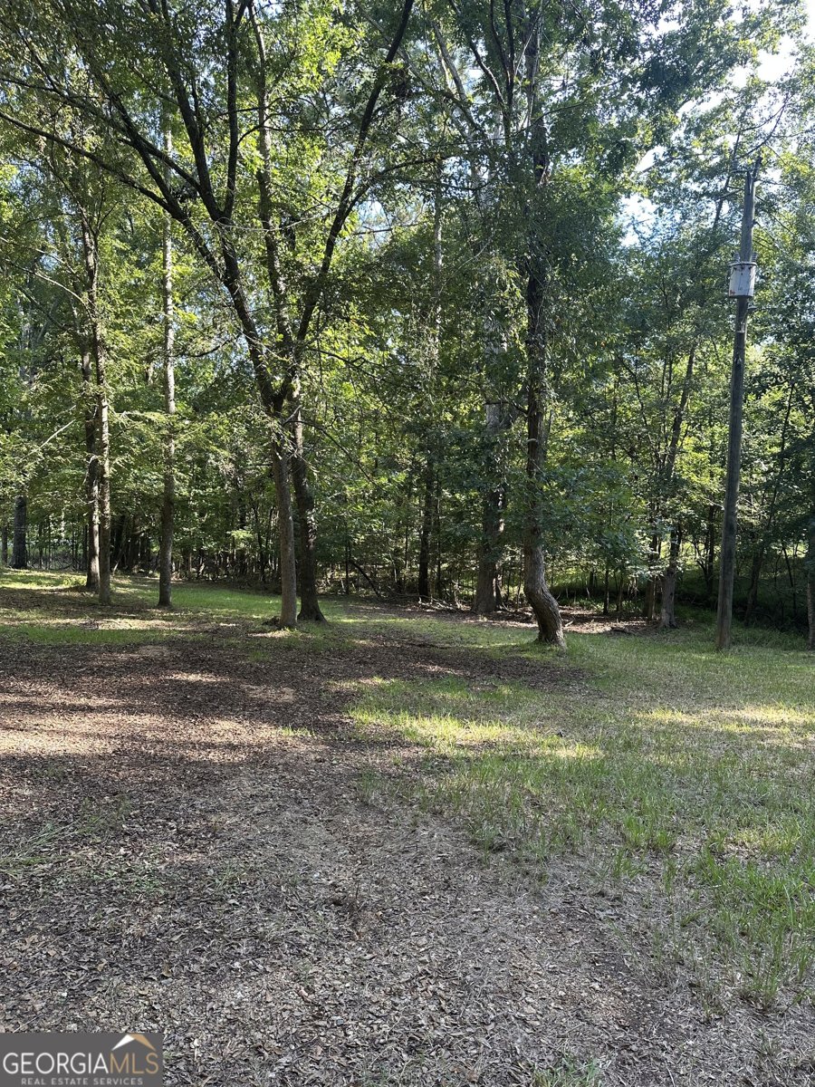 865 Steel Bridge Road Eatonton - 10