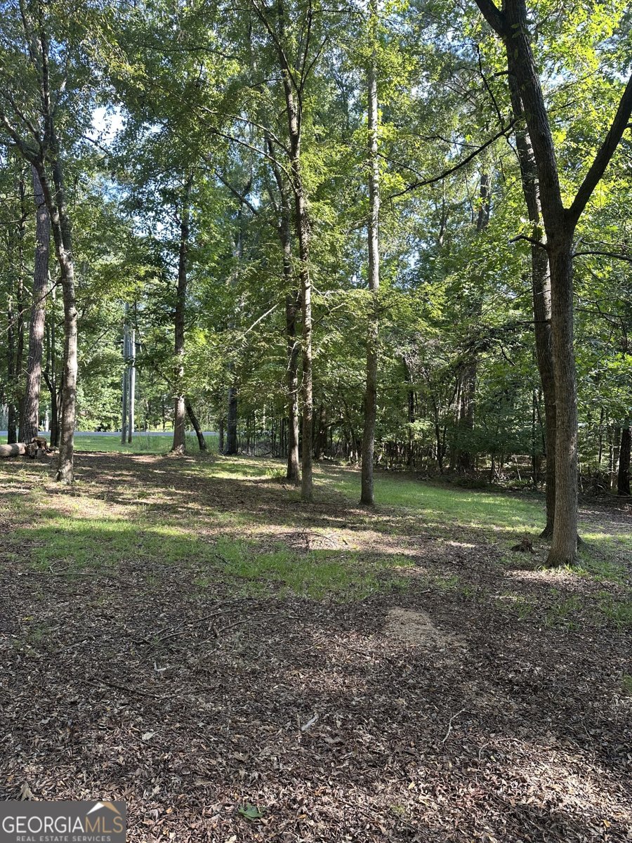 865 Steel Bridge Road Eatonton - 14