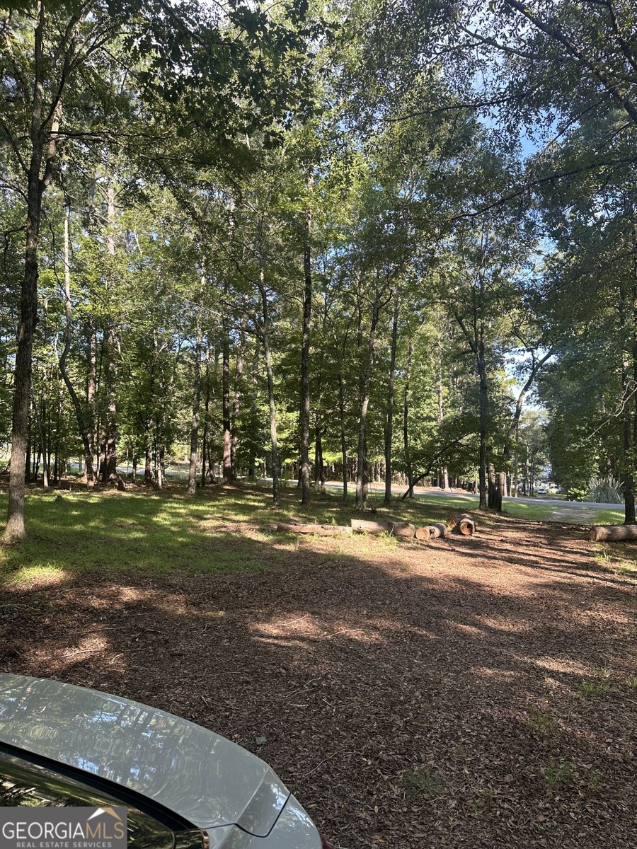 865 Steel Bridge Road Eatonton - 20