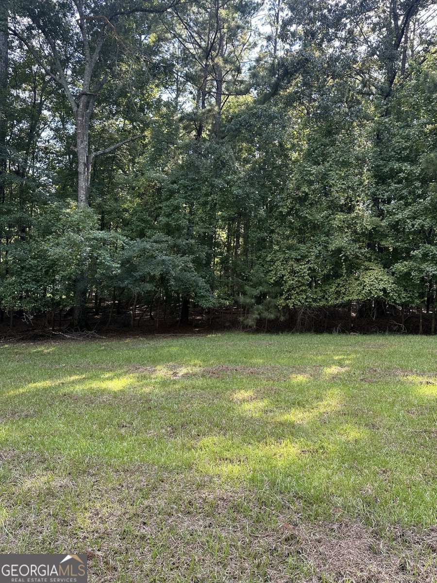 865 Steel Bridge Road Eatonton - 32