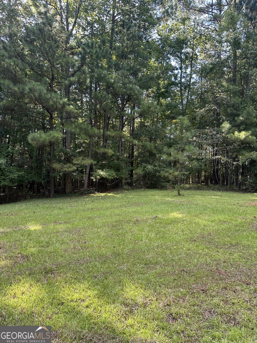 865 Steel Bridge Road Eatonton - 33