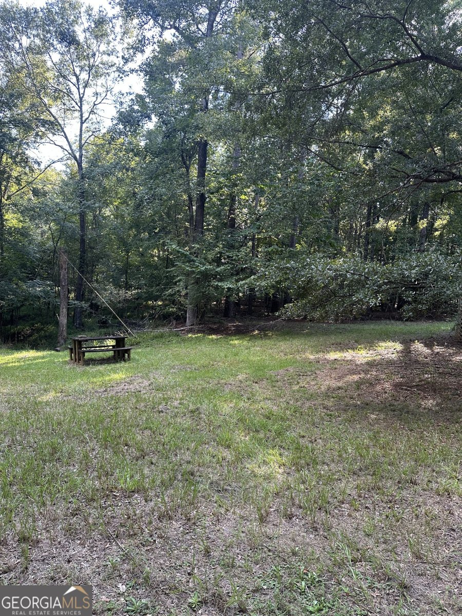 865 Steel Bridge Road Eatonton - 9
