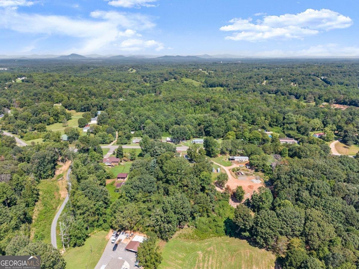 4938 Old Cornelia Highway Lula - 33