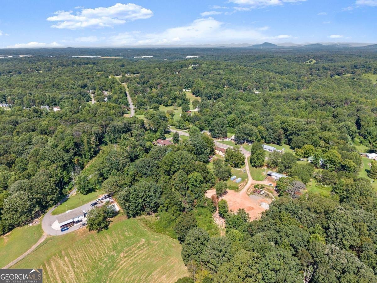 4938 Old Cornelia Highway Lula - 34