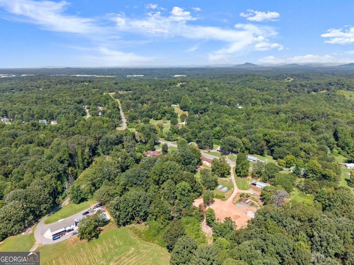 4938 Old Cornelia Highway Lula - 35