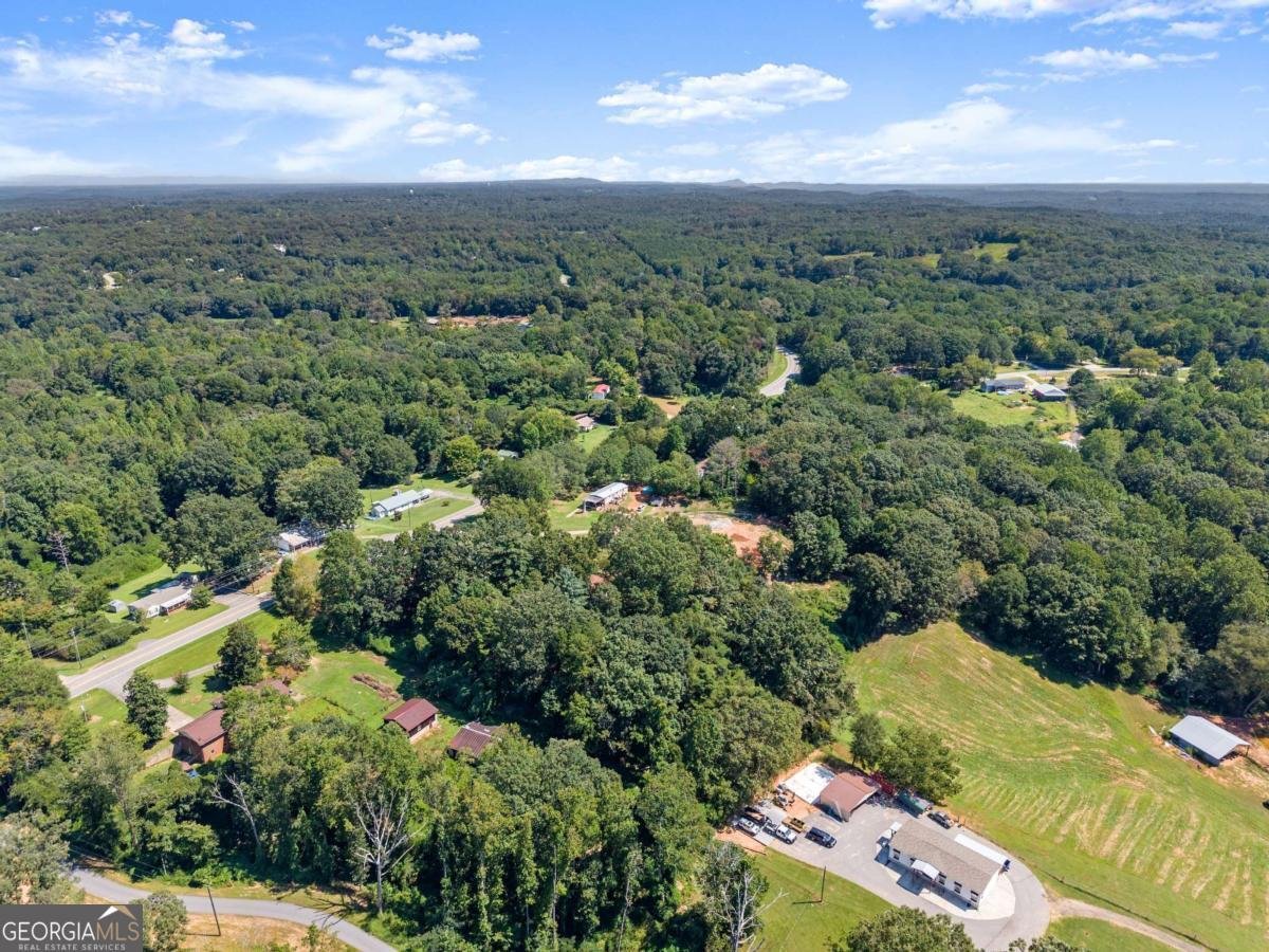 4938 Old Cornelia Highway Lula - 36