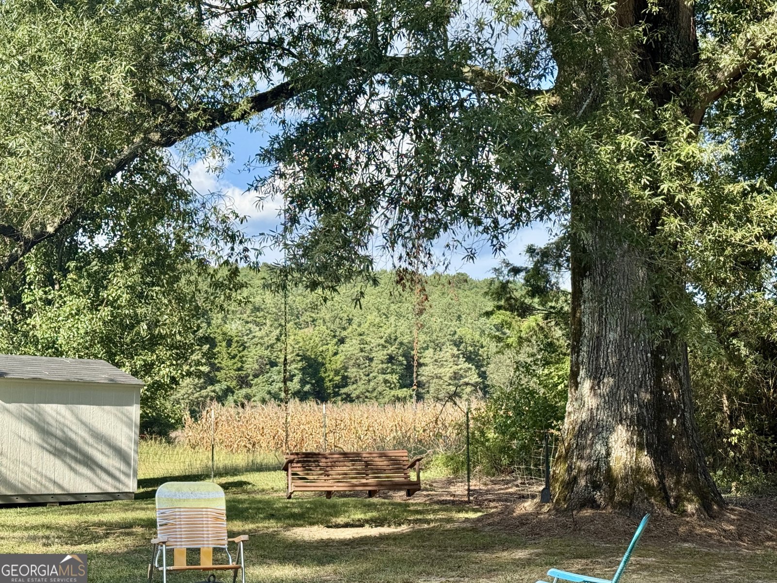 14365 US Highway 411 Centre - 14