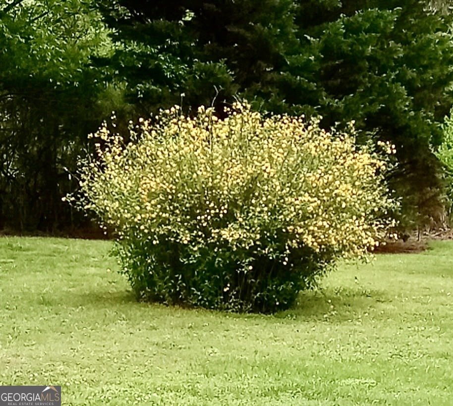 14365 US Highway 411 Centre - 20