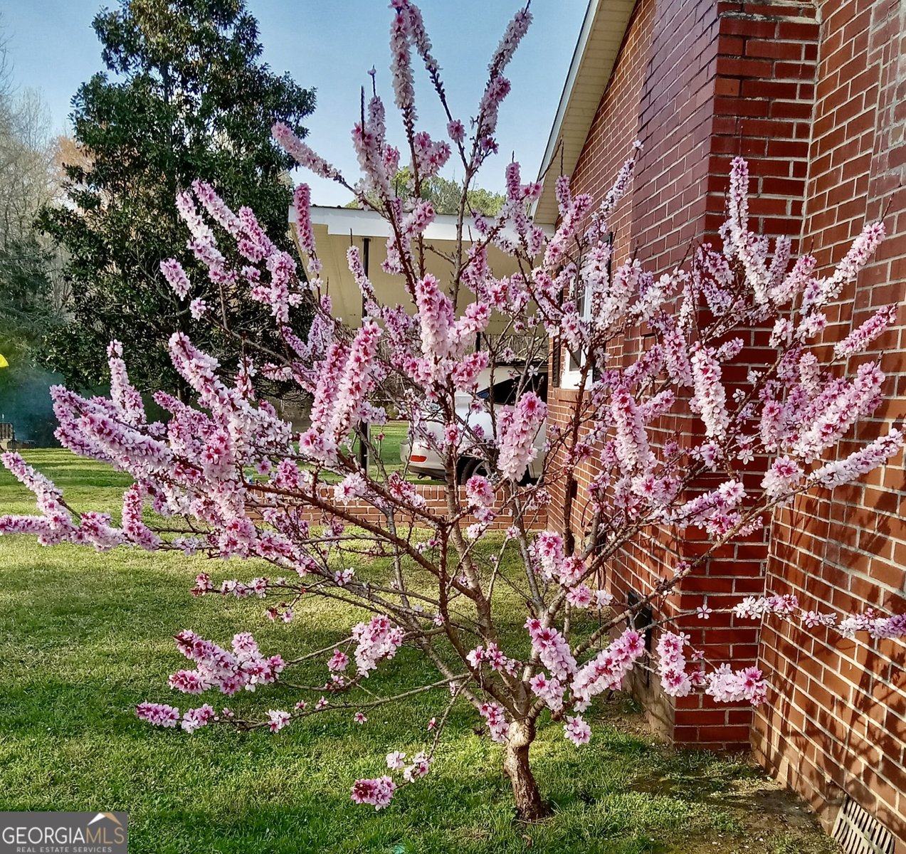 14365 US Highway 411 Centre - 24