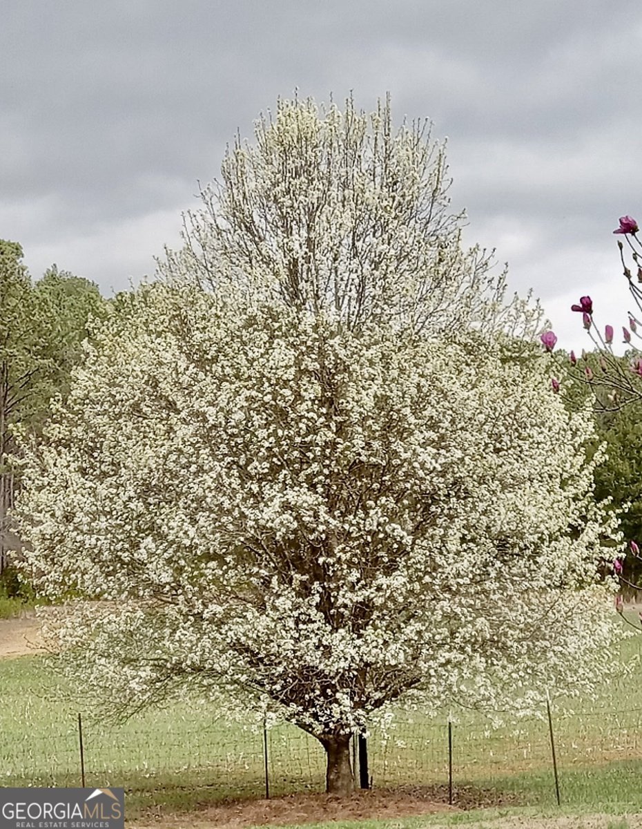 14365 US Highway 411 Centre - 35