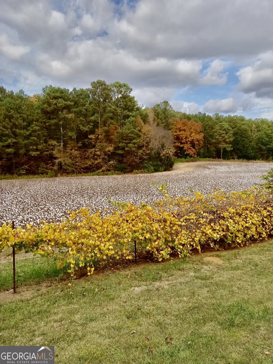 14365 US Highway 411 Centre - 39