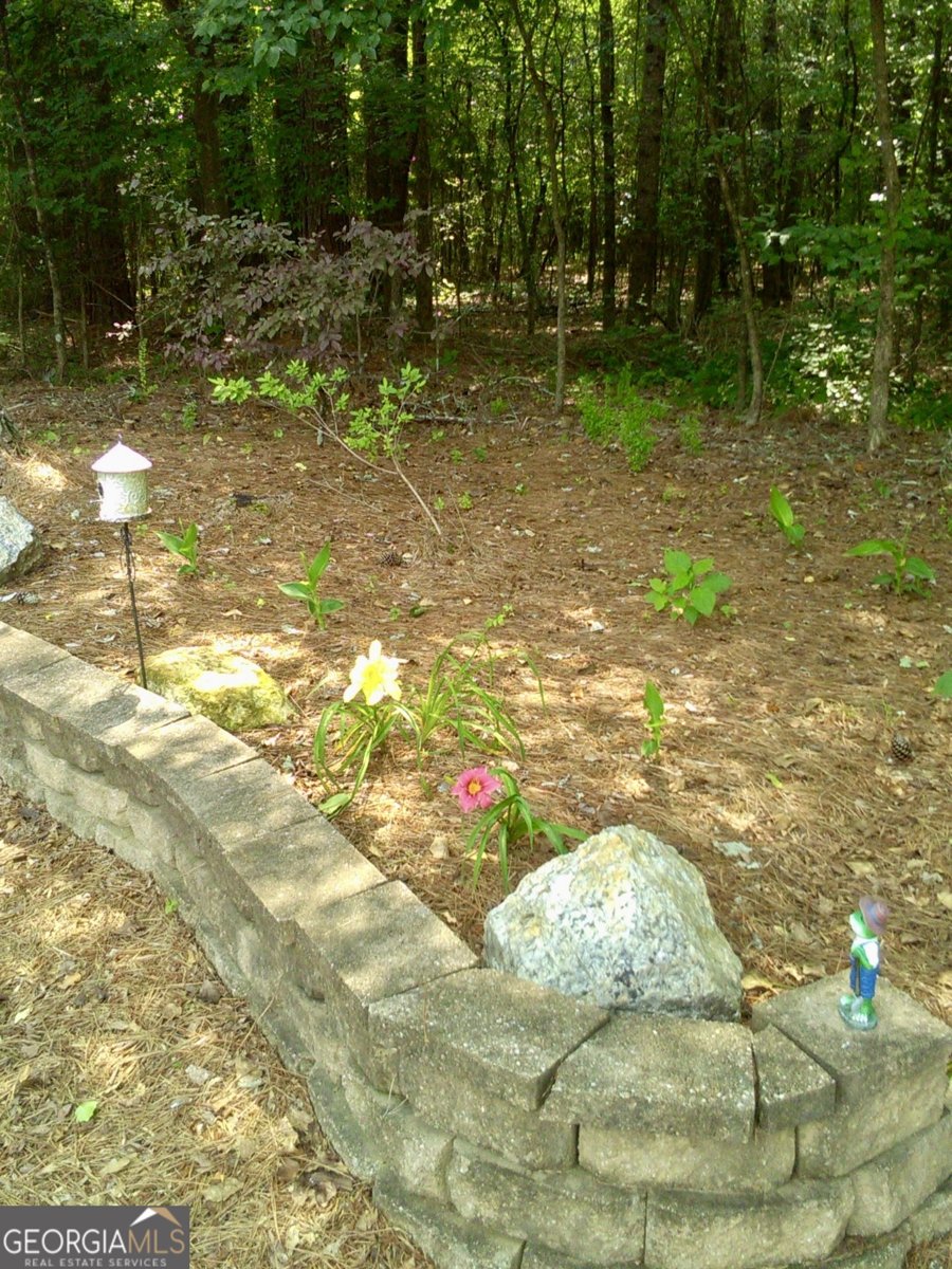 14365 US Highway 411 Centre - 49