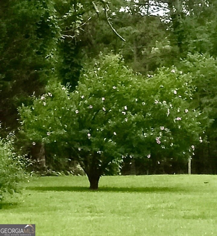 14365 US Highway 411 Centre - 50