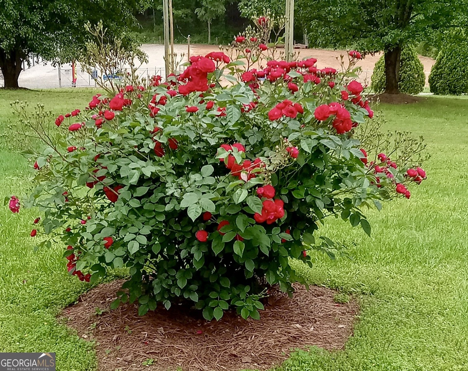 14365 US Highway 411 Centre - 53