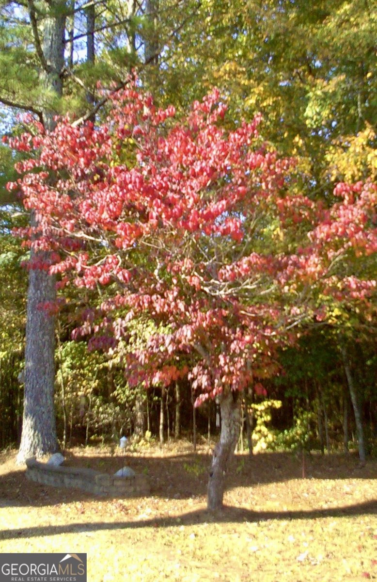 14365 US Highway 411 Centre - 54