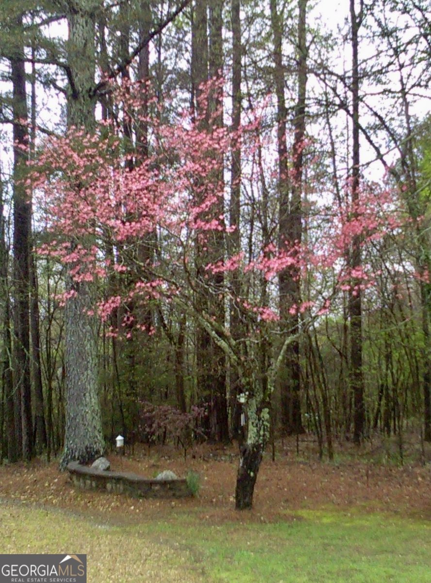 14365 US Highway 411 Centre - 55