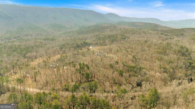 13095 Reinhardt College Parkway Waleska - 87