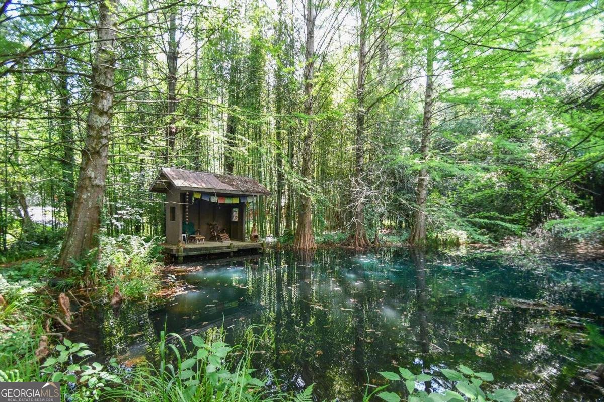 501 The Orchard Road Clarkesville - 13