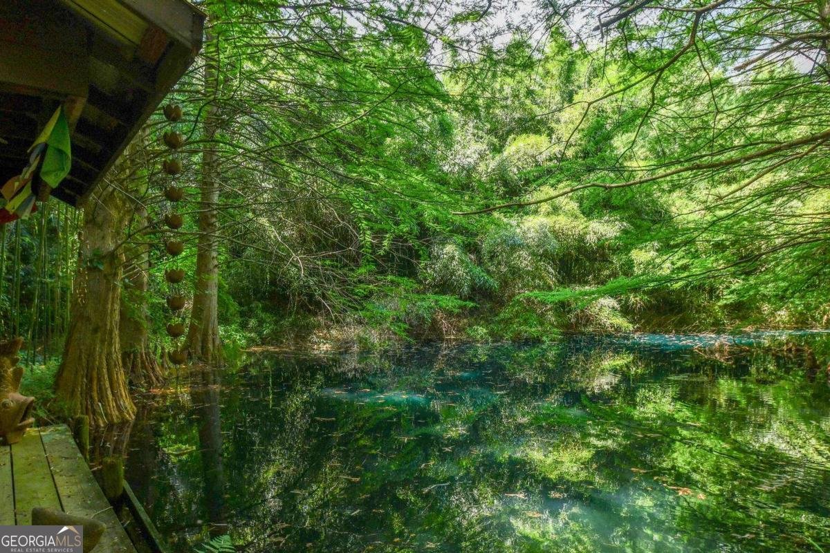 501 The Orchard Road Clarkesville - 14